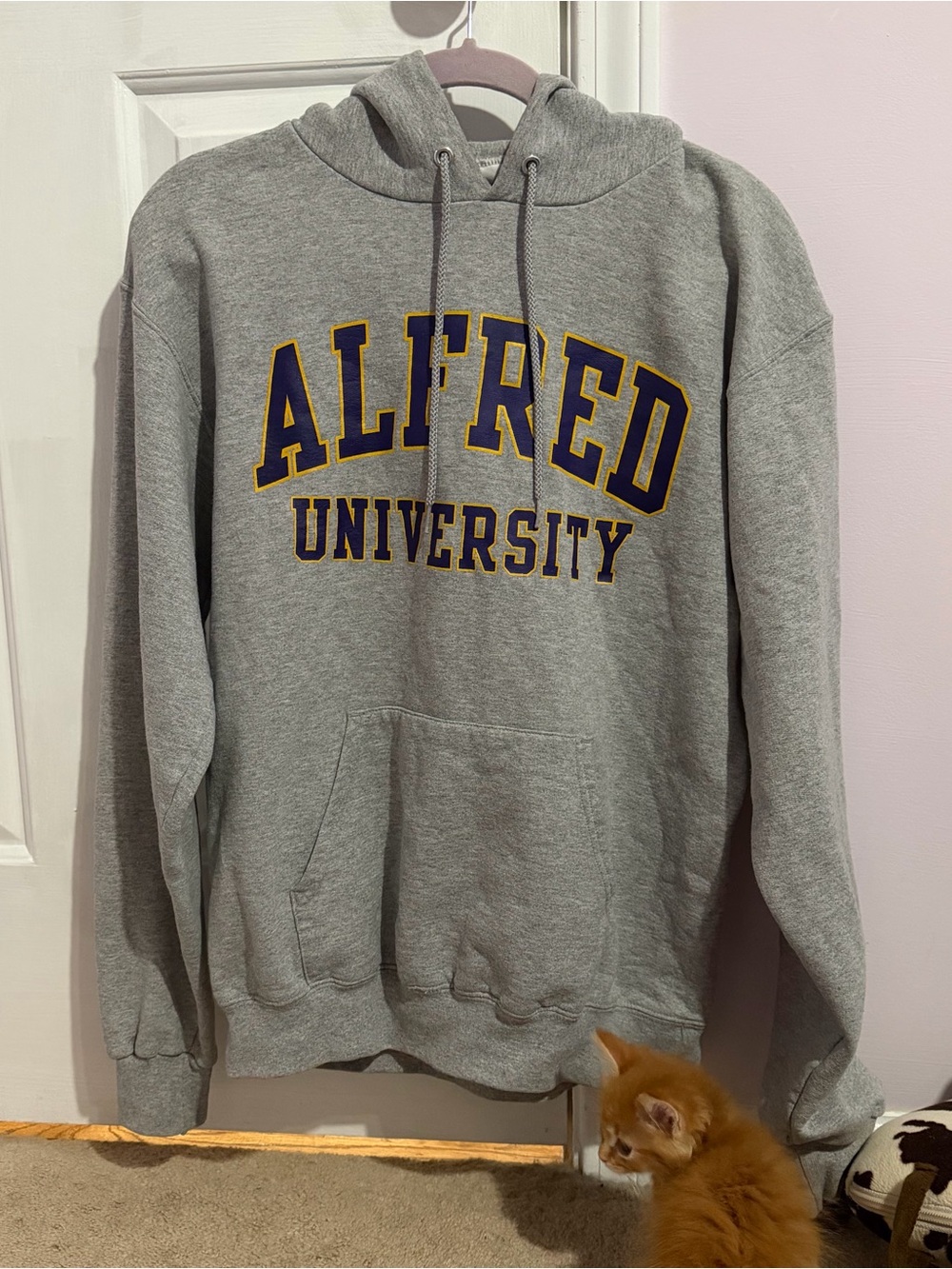 Champion Gray Hooded Sweatshirt with Purple and Gold University Lettering
